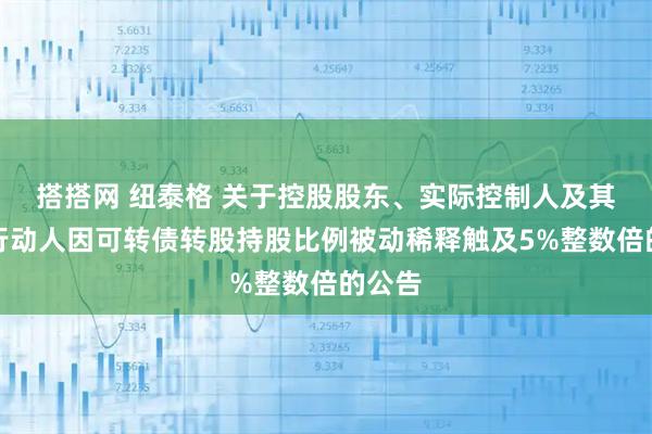 搭搭网 纽泰格 关于控股股东、实际控制人及其一致行动人因可转债转股持股比例被动稀释触及5%整数倍的公告