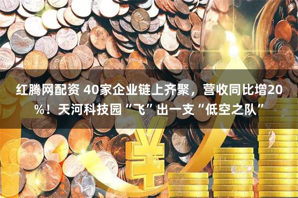 红腾网配资 40家企业链上齐聚，营收同比增20%！天河科技园“飞”出一支“低空之队”